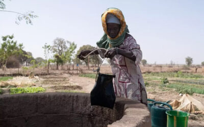 Adaptation des systèmes de santé aux risques climatiques